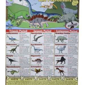 Educational Wall Chart Dinosaurs - Dry & Wipe A1 Size (Laminated)