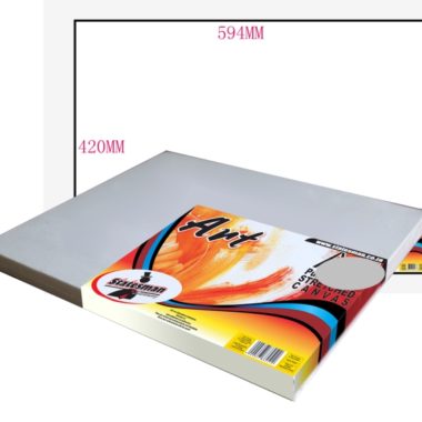 Canvas A2 -594mm X 420mm Stretched (2437)