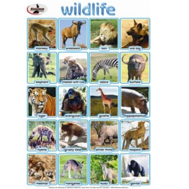 Educational Wall Chart Wild Life ? Dry & Wipe A1 Size (Laminated)