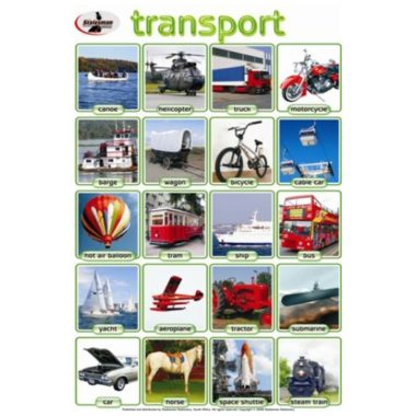 Educational Wall Chart Transport ? Dry & Wipe A1 Size (Laminated)