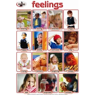 Educational Wall Chart Feelings ? Dry & Wipe A1 Size (Laminated)