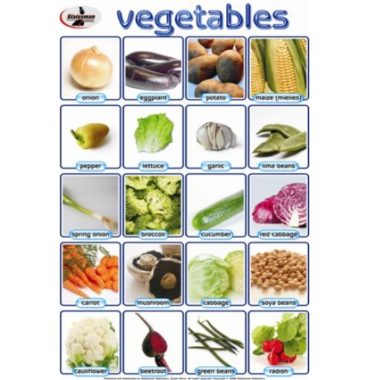 Educational Wall Chart Vegetables - Dry & Wipe A1 Size (Laminated)