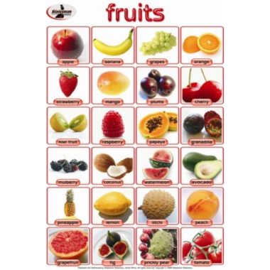 Educational Wall Chart Fruits ? Dry & Wipe A1 Size (Laminated)