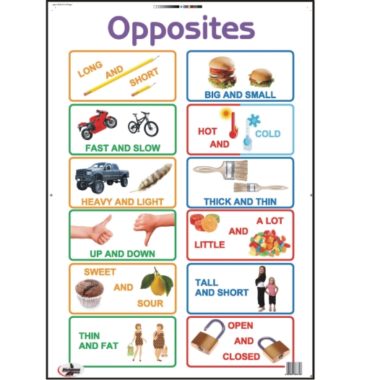 Educational Wall Chart Opposites ? Dry & Wipe A1 Size (Laminated)
