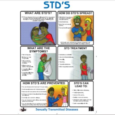Educational Wall Chart STD'S ? Dry & Wipe A1 Size (Laminated)
