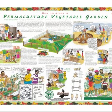 Educational Wall Chart Permaculture Vegetable Garden ? Dry & Wipe A1 Size (Laminated)