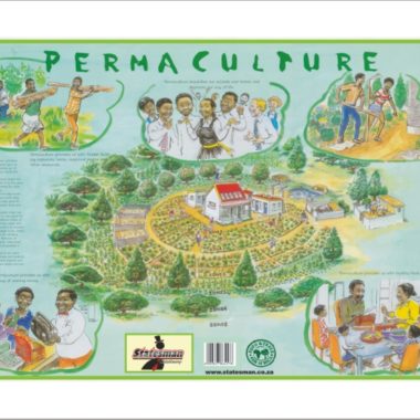 Educational Wall Chart How To Start ? Dry & Wipe A1 Size (Laminated)