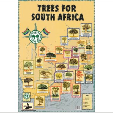 Educational Wall Chart Trees of South Africa ? Dry & Wipe A1 Size (Laminated)