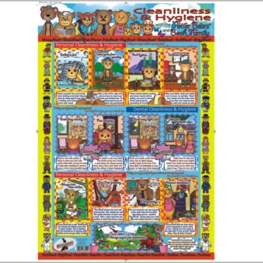 Educational Wall Chart Booh Bear Cleanliness & Hygiene - Dry & Wipe A1 Size (Laminated)