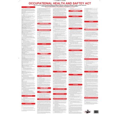 Wall Chart Healthy & Safety - Dry & Wipe A1 Size (Laminated)