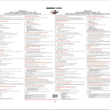 Wall Chart Basic Conditions Of Employment Legal Poster - Dry & Wipe A1 Size (Laminated)