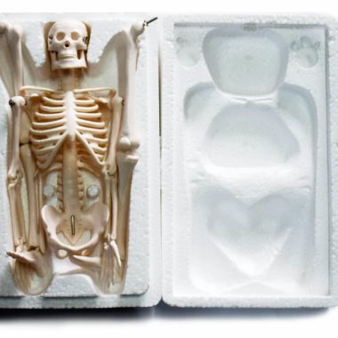 Skeleton Model XC 103 45cm